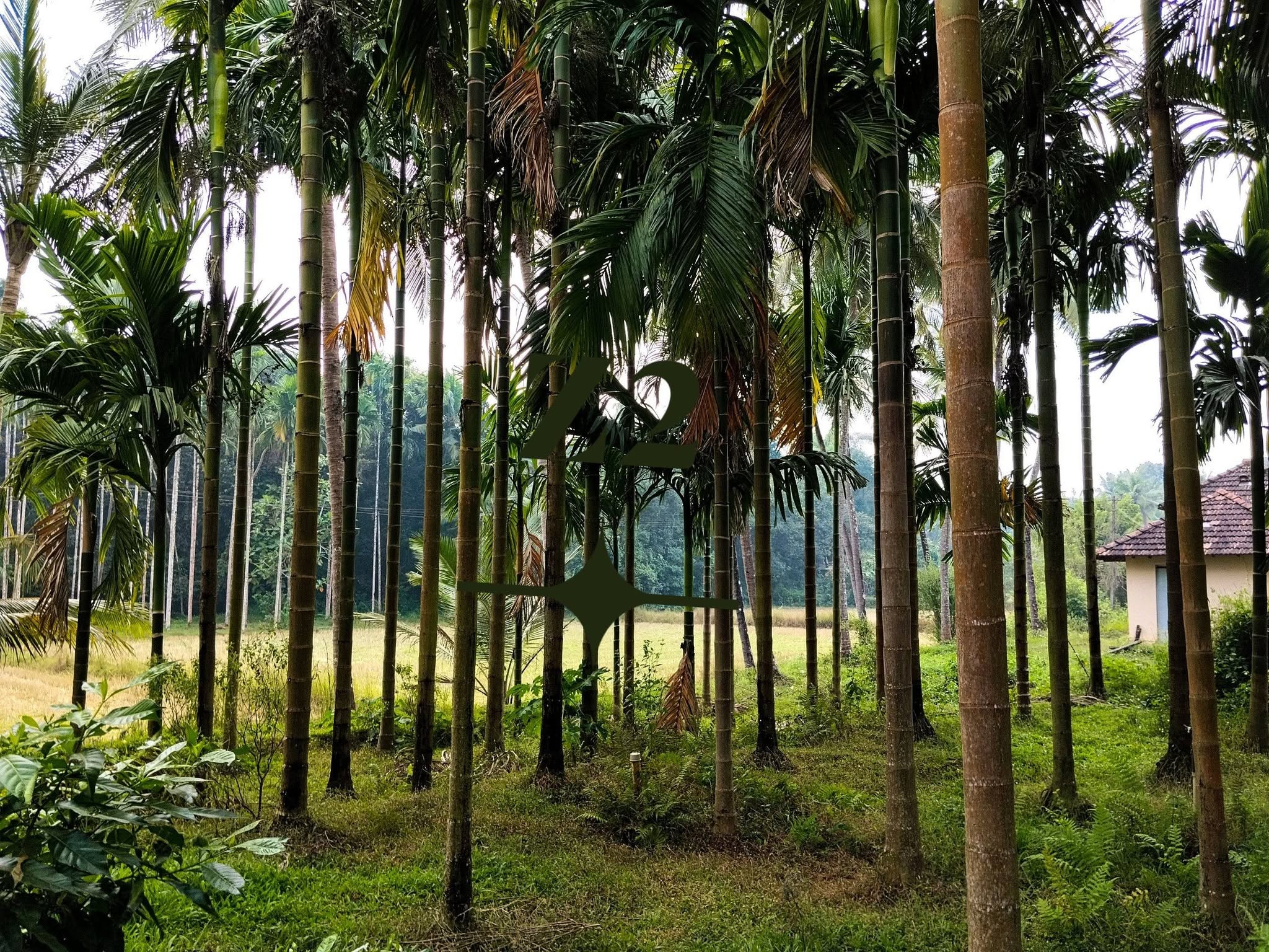 Agri Land