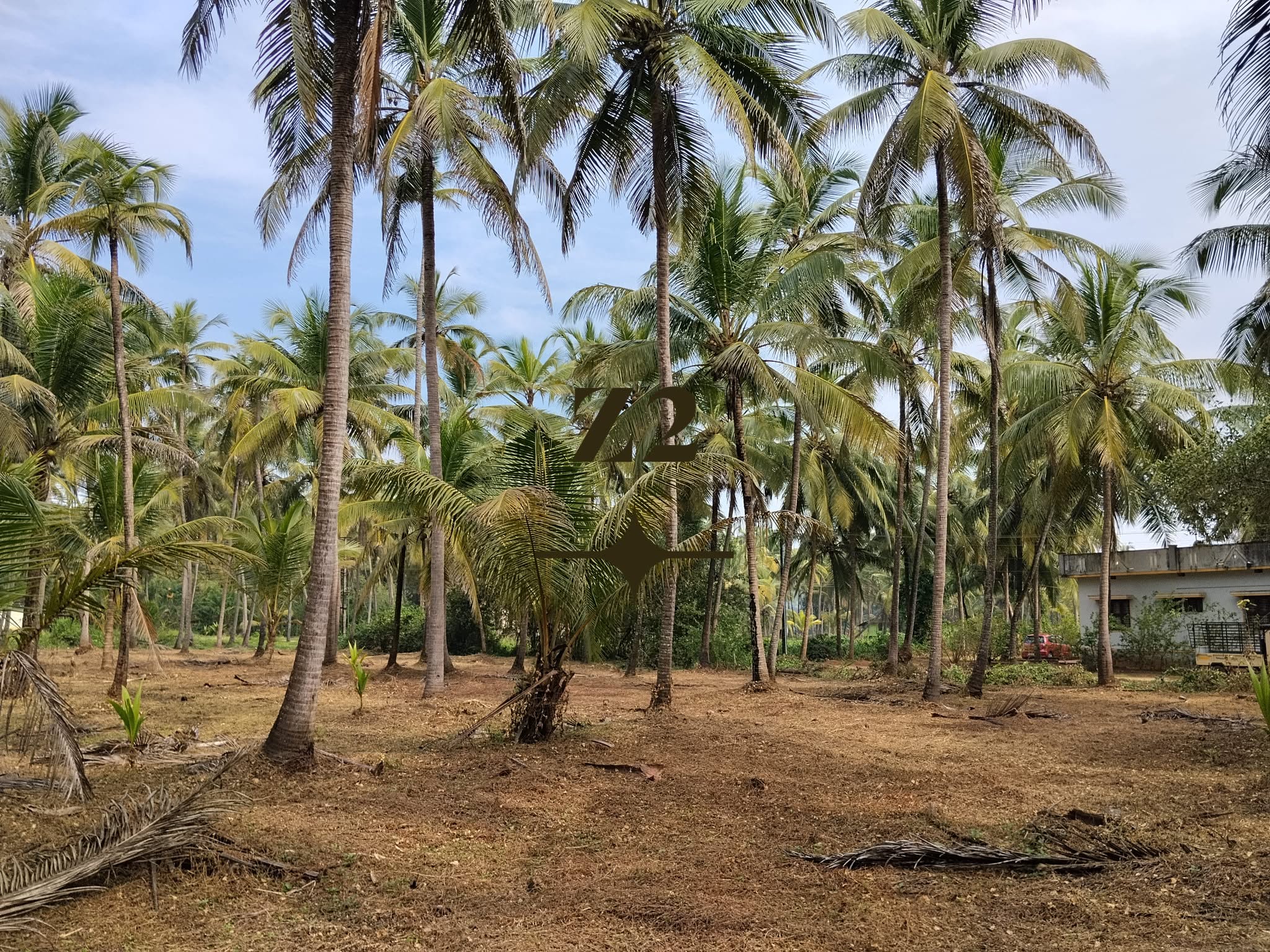 Agri Land